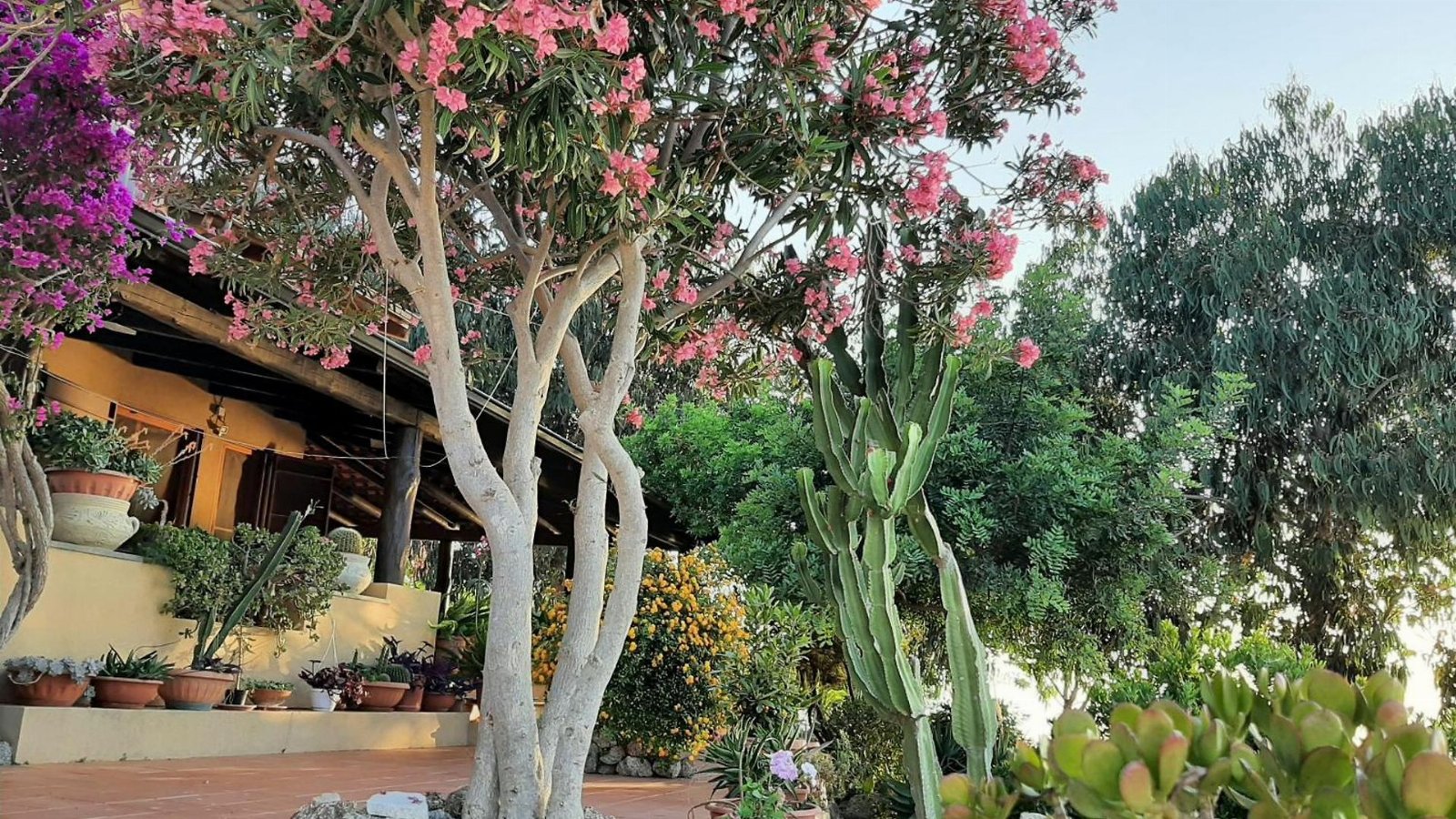 APPARTAMENTO CON GIARDINO PANORAMA MARE MOZZAFIATO