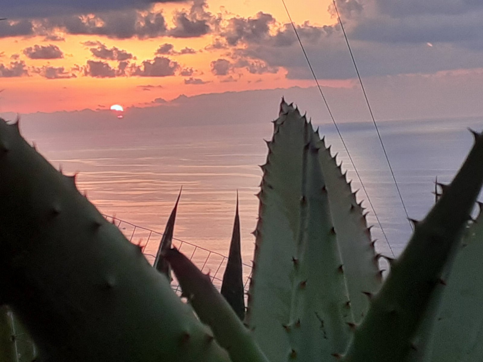 APPARTAMENTO CON GIARDINO PANORAMA MARE MOZZAFIATO