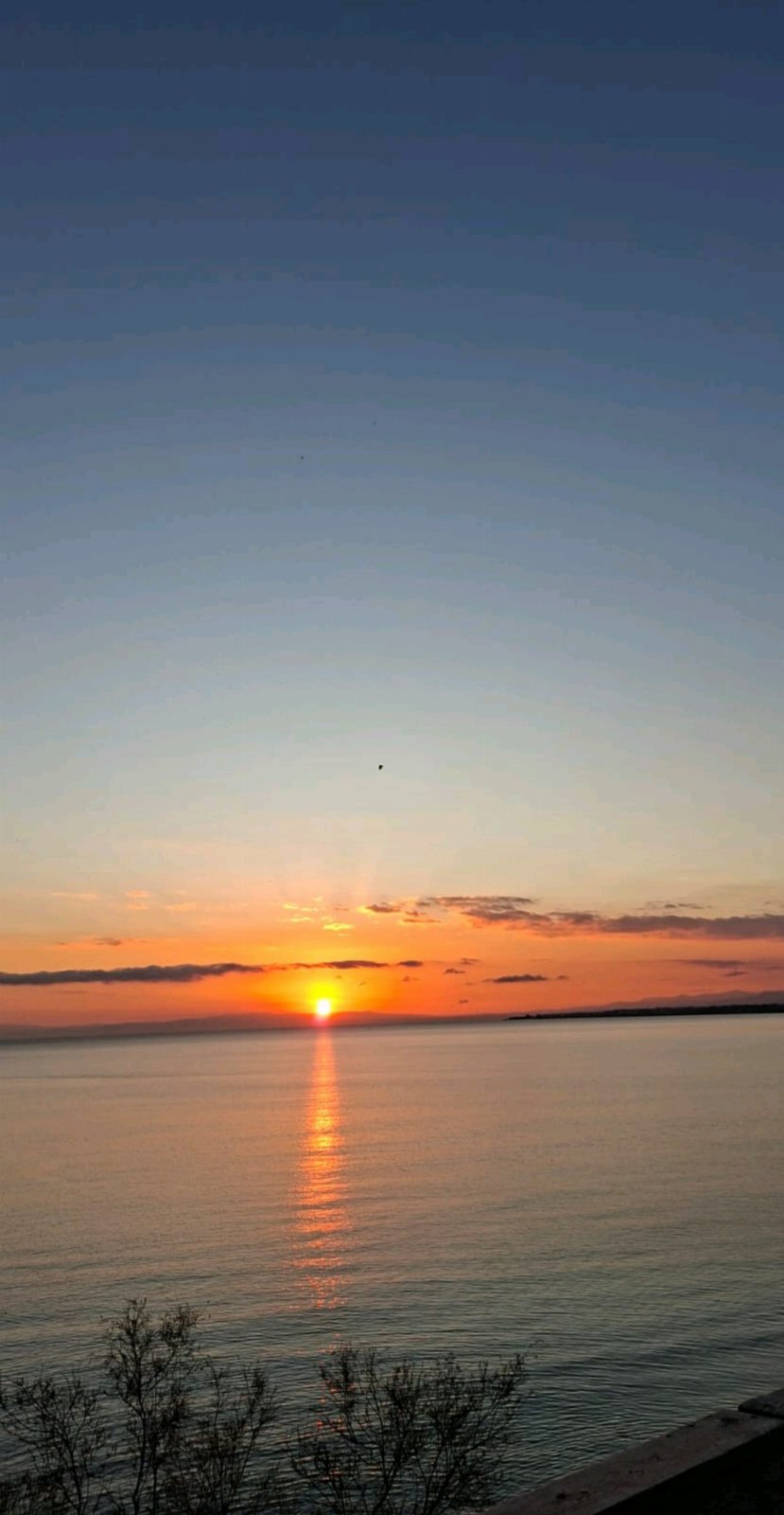 Casa vacanze rose e mauris