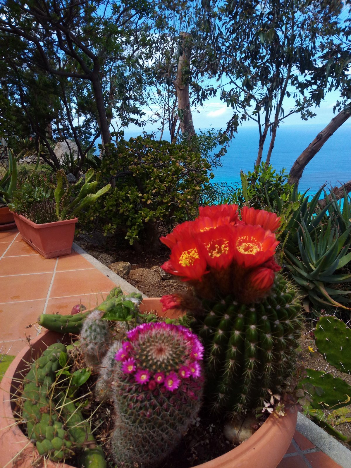 APPARTAMENTO CON GIARDINO PANORAMA MARE MOZZAFIATO