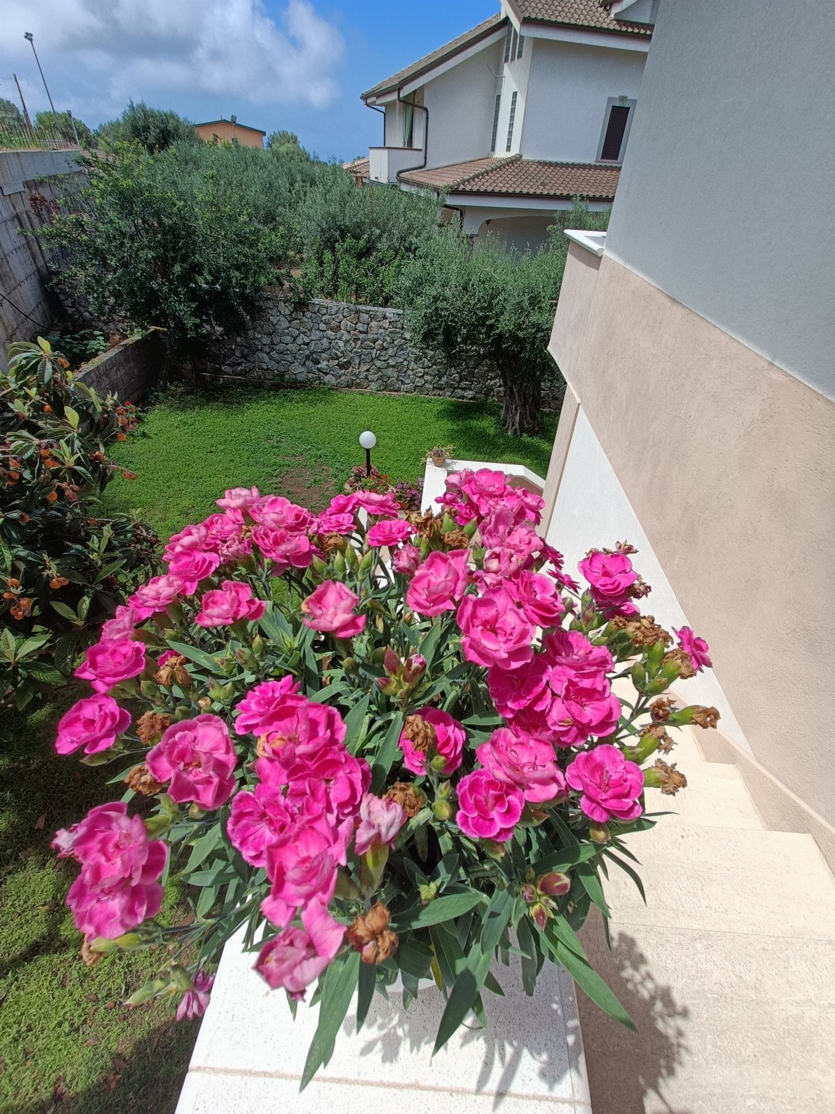 Villa Orchidea vista mare