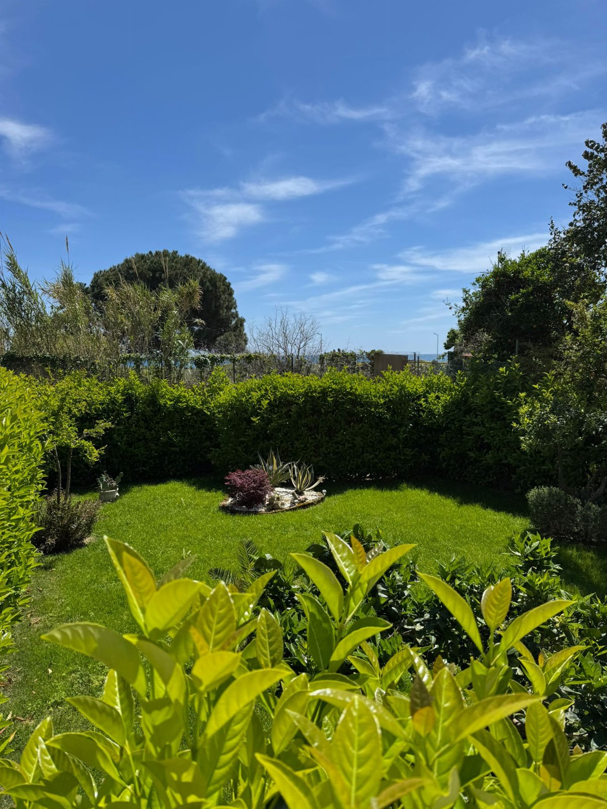 B&B ad un passo dal mare, relax e spiagge incontaminate