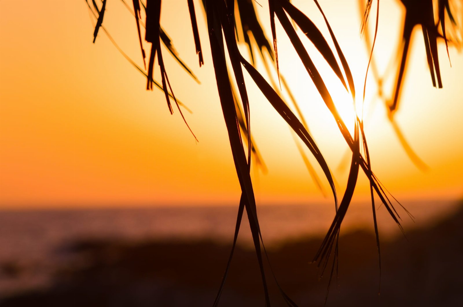 Appartamento Bilocale 2 posti con cucina e vista mare. Spiaggia privata. Sunset Yoga.