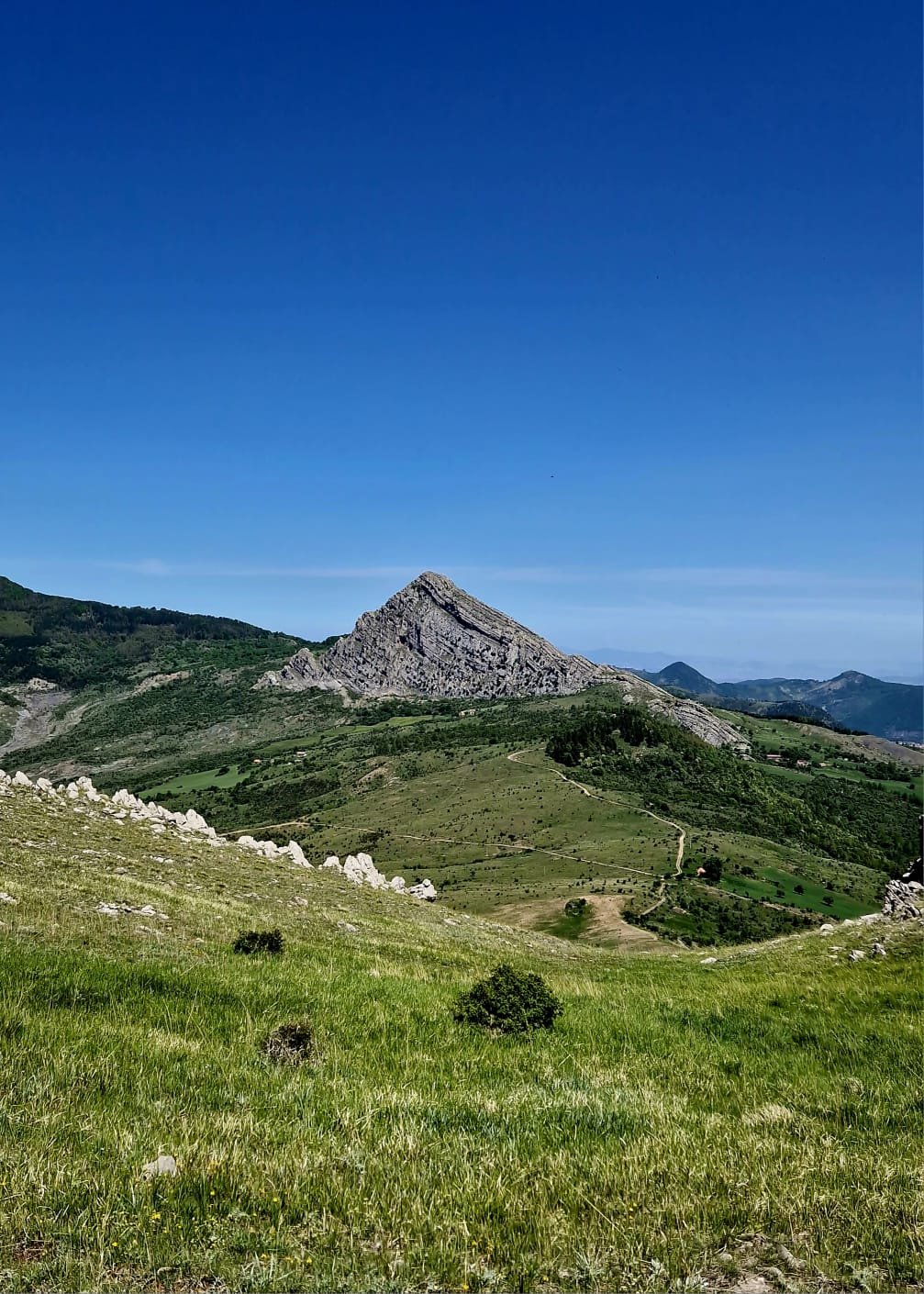 Relax buon cibo e natura