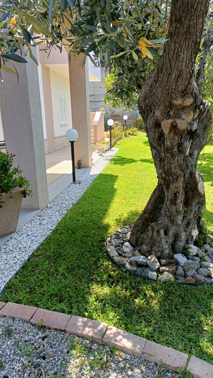 Villa Orchidea vista mare