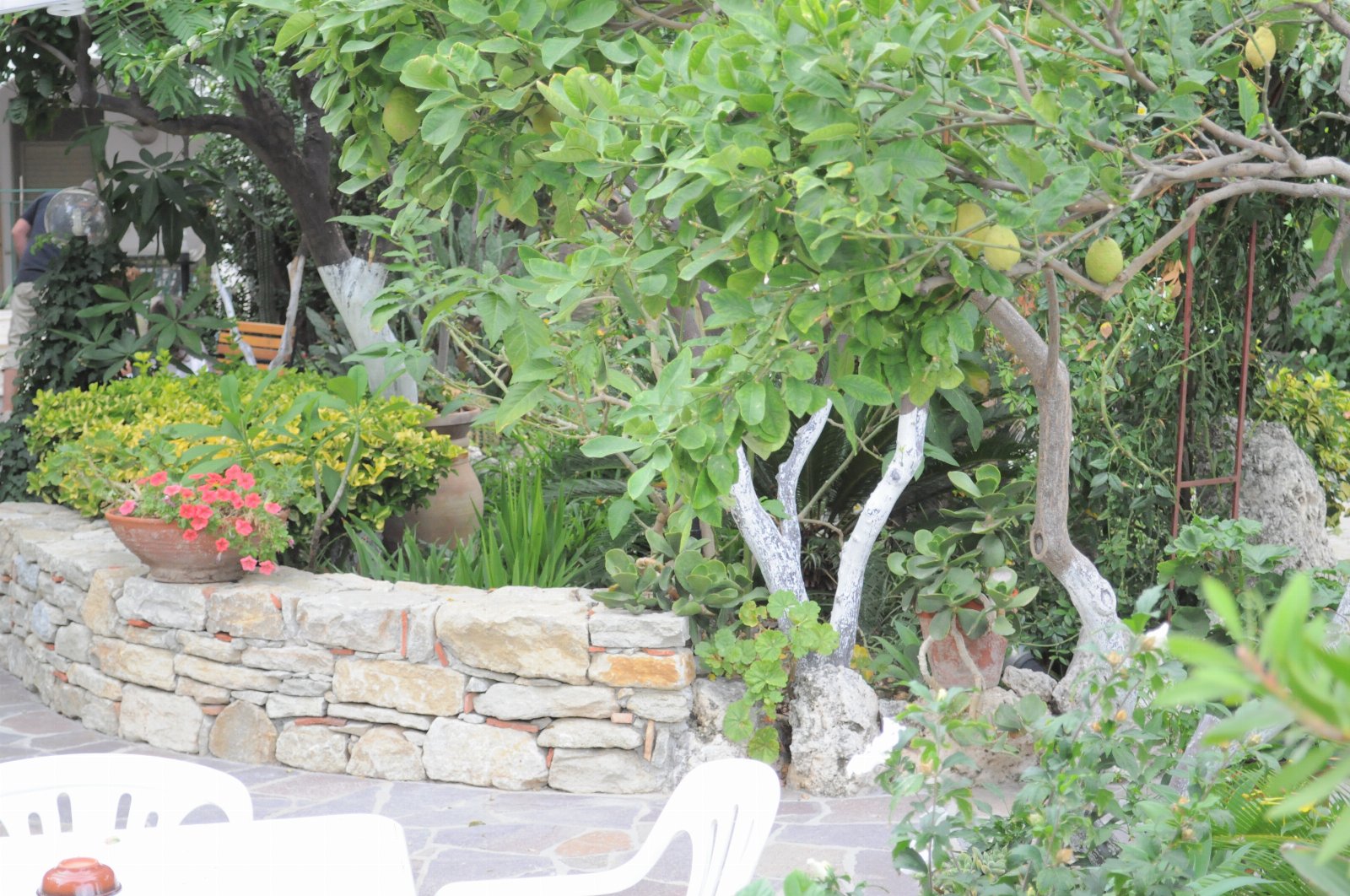Appartamento al mare Viola