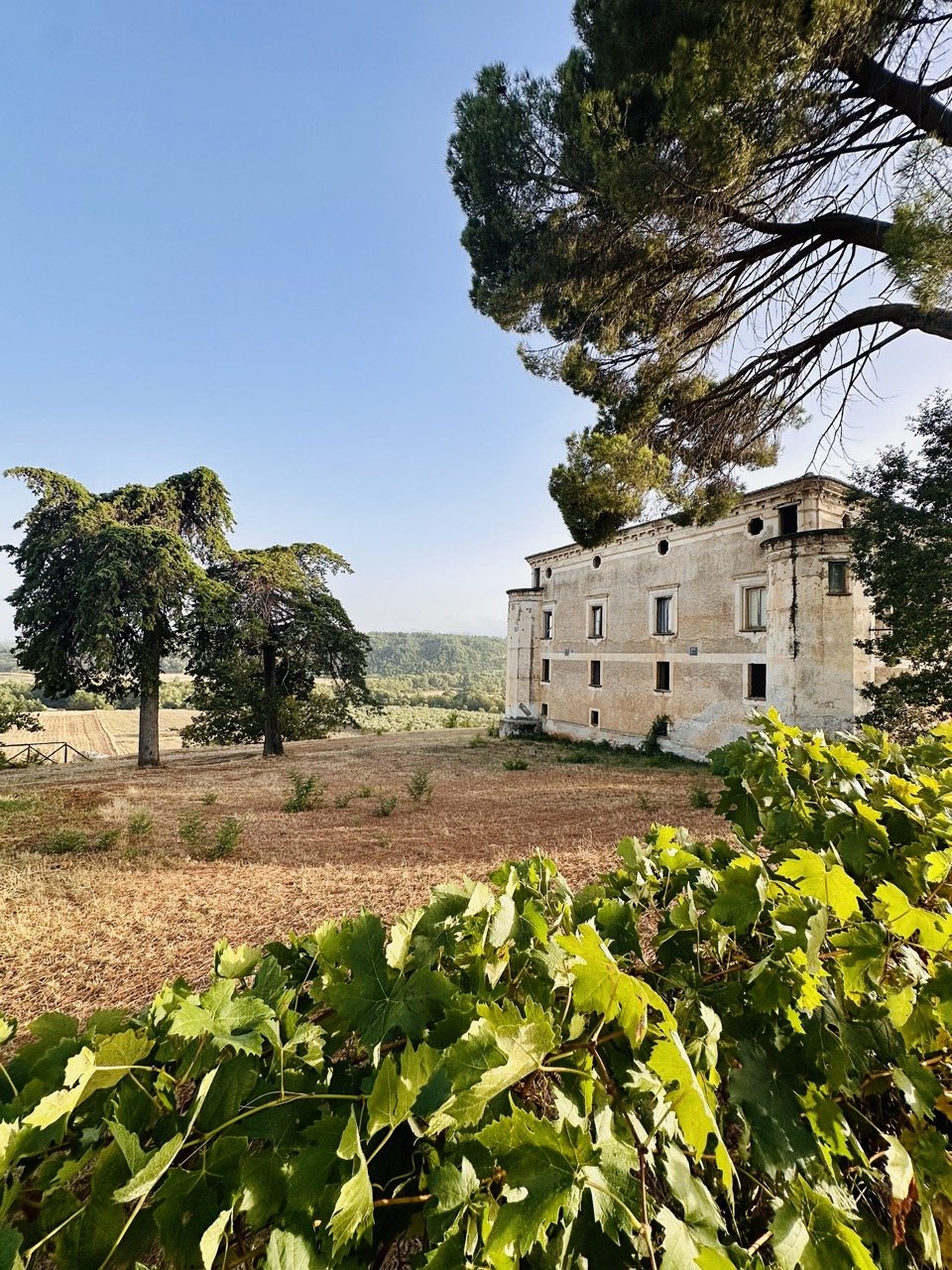 Agriturismo Casa Pacelli