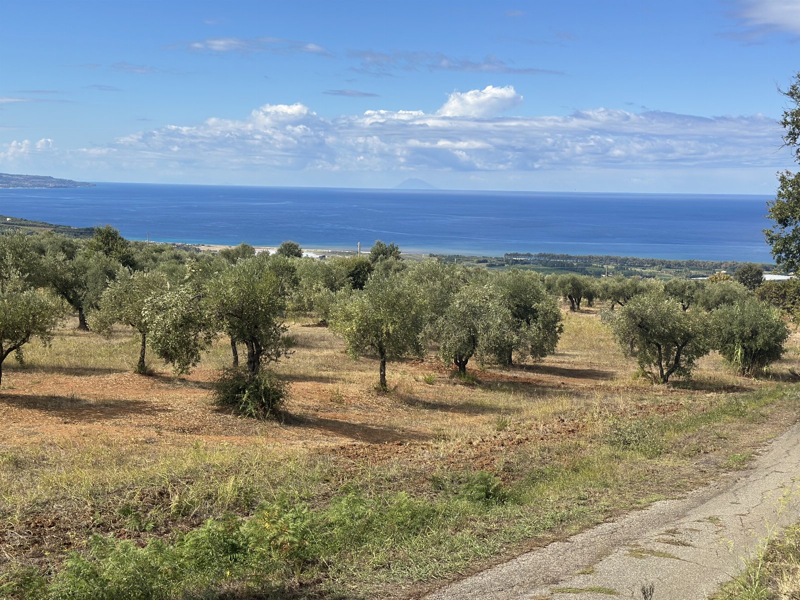 Villa esclusiva tra gli ulivi con vista mare e assoluta tranquillità vicino a Pizzo