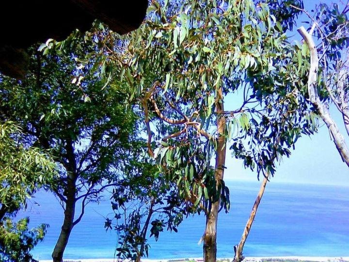 APPARTAMENTO CON GIARDINO PANORAMA MARE MOZZAFIATO