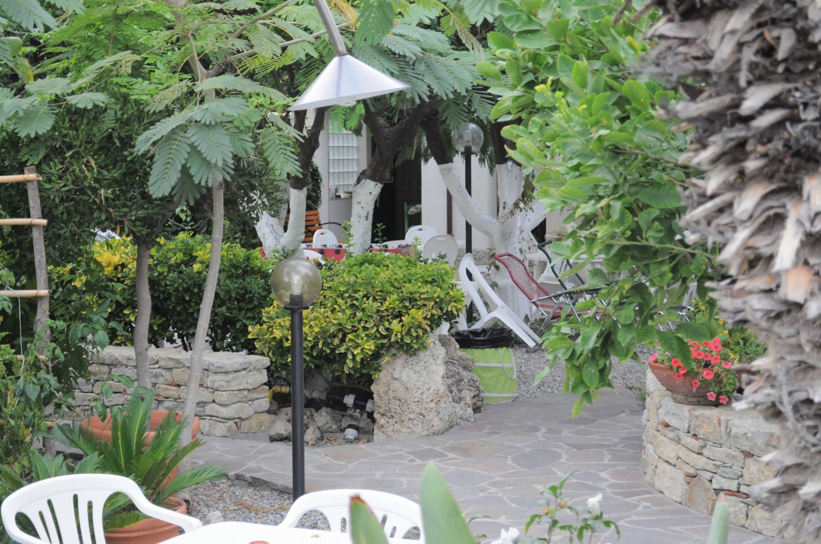 Appartamenti al mare Asia