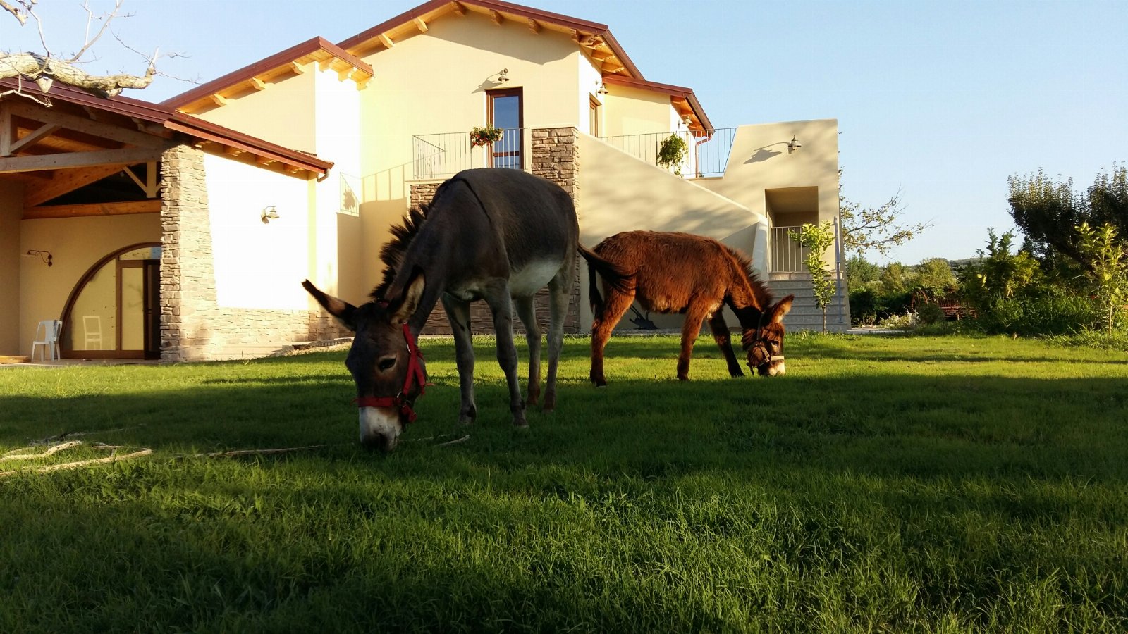 Agriturismo Frantoio Mafrica