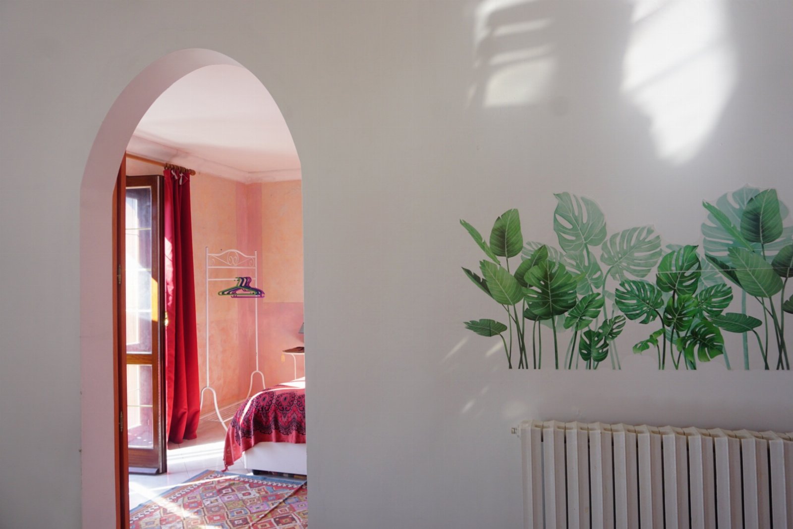 Dragonfly - Stars Home Tropea