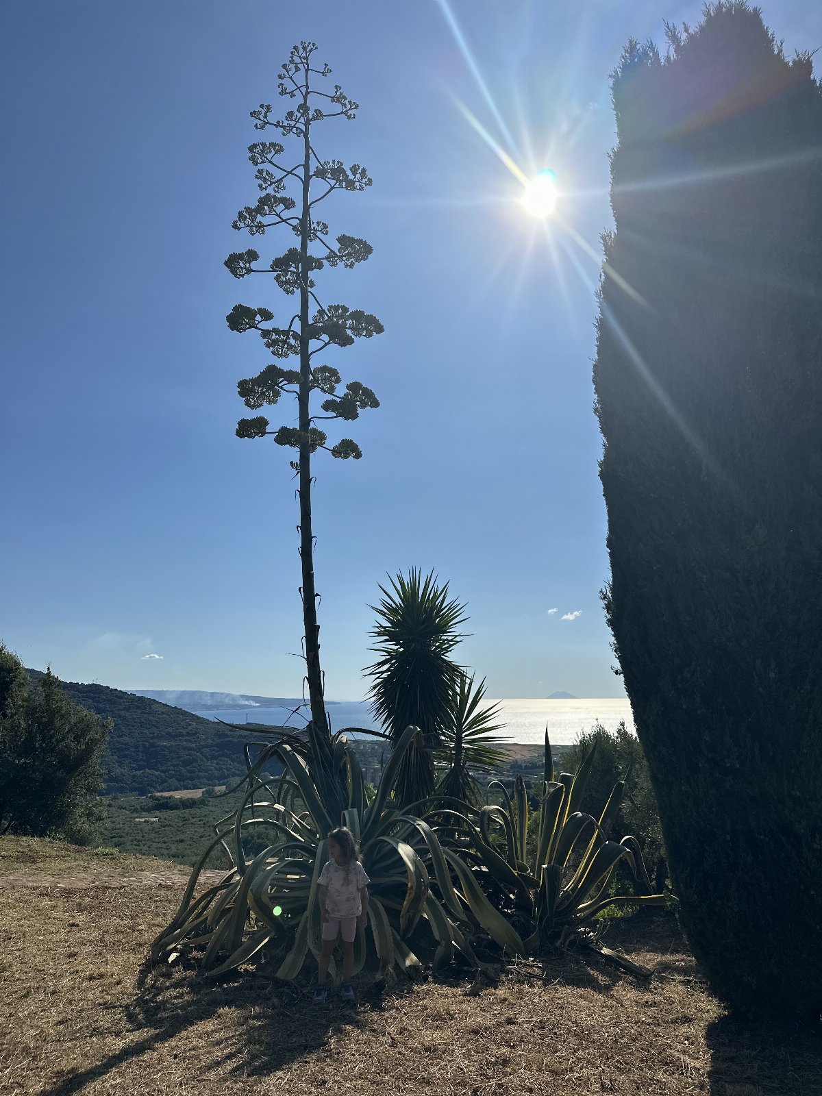 Villa esclusiva tra gli ulivi con vista mare e assoluta tranquillità vicino a Pizzo