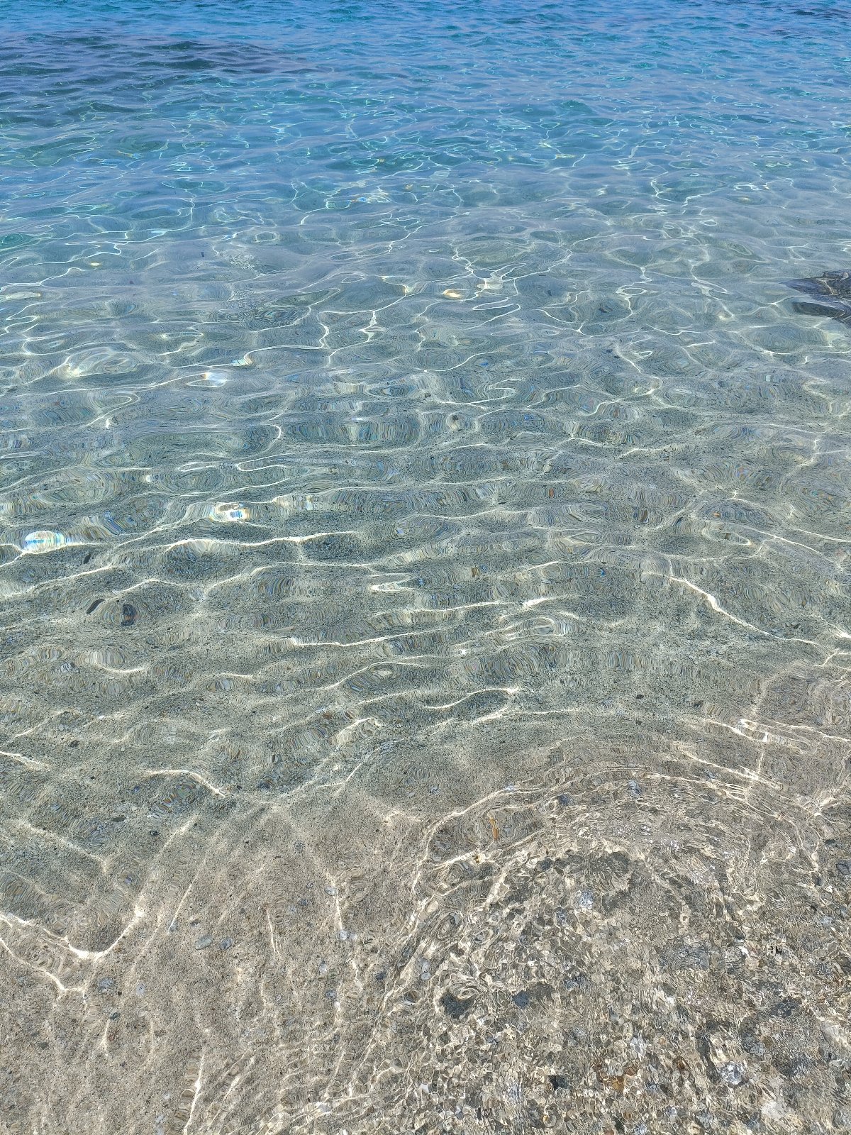 Villa Orchidea vista mare