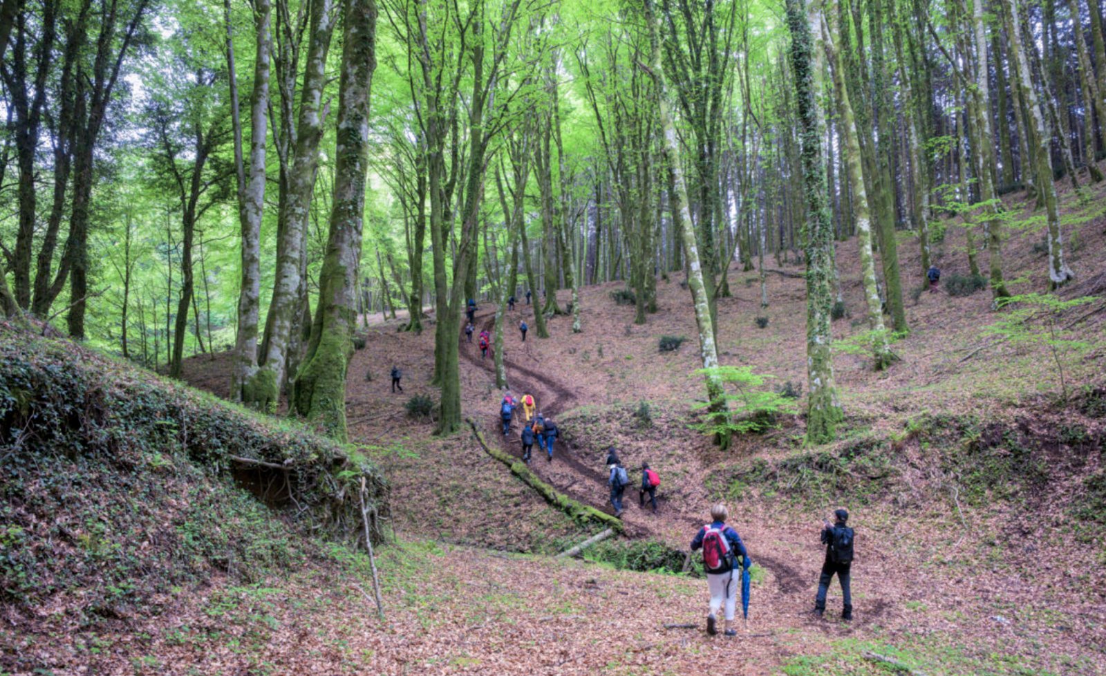 RIFUGIO MOLETI