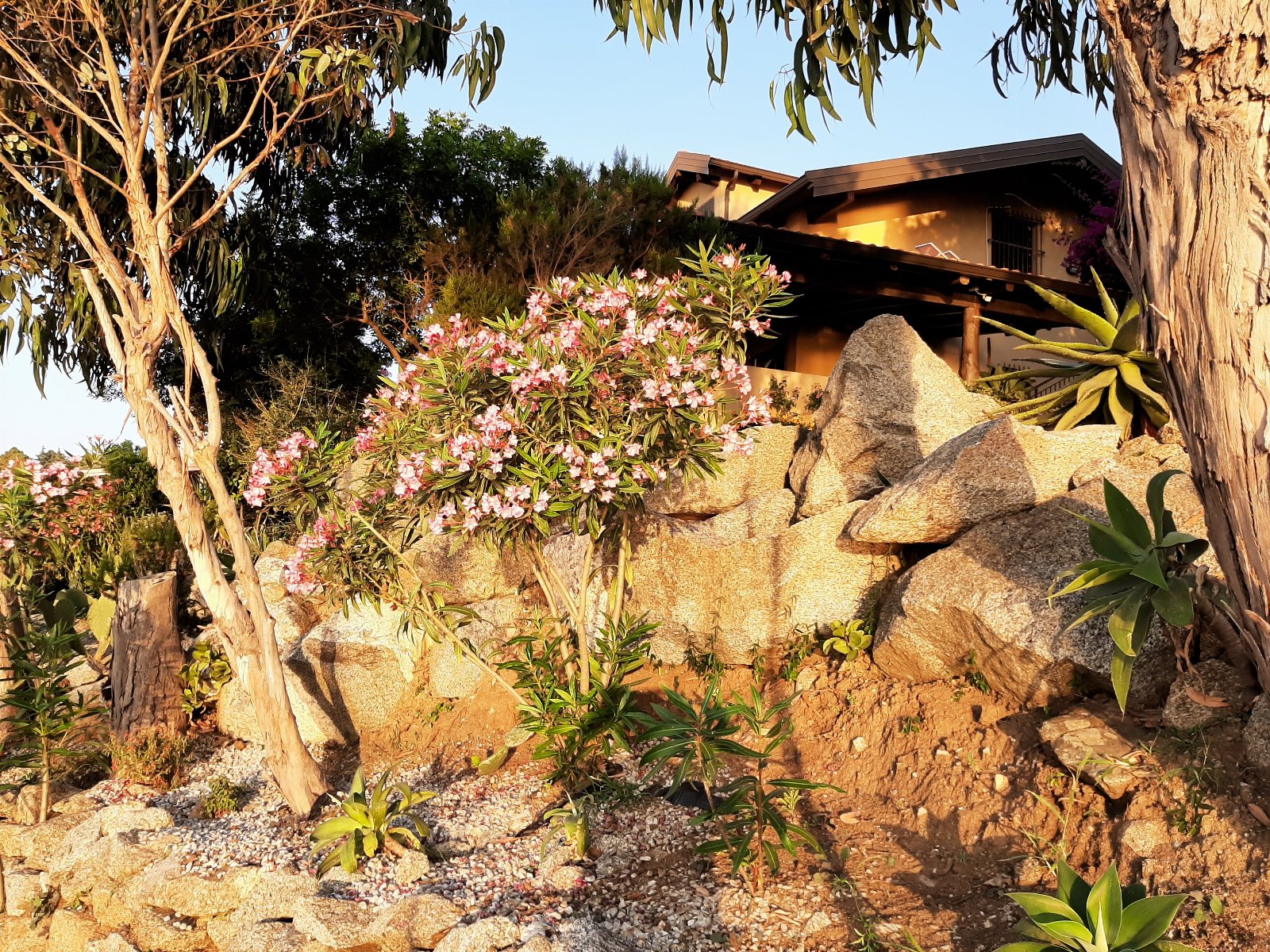 APPARTAMENTO CON GIARDINO PANORAMA MARE MOZZAFIATO