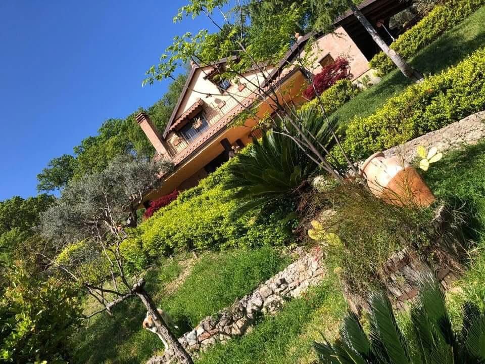 Villa con podere in collina a Siderno Superiore, tra mare, natura e relax