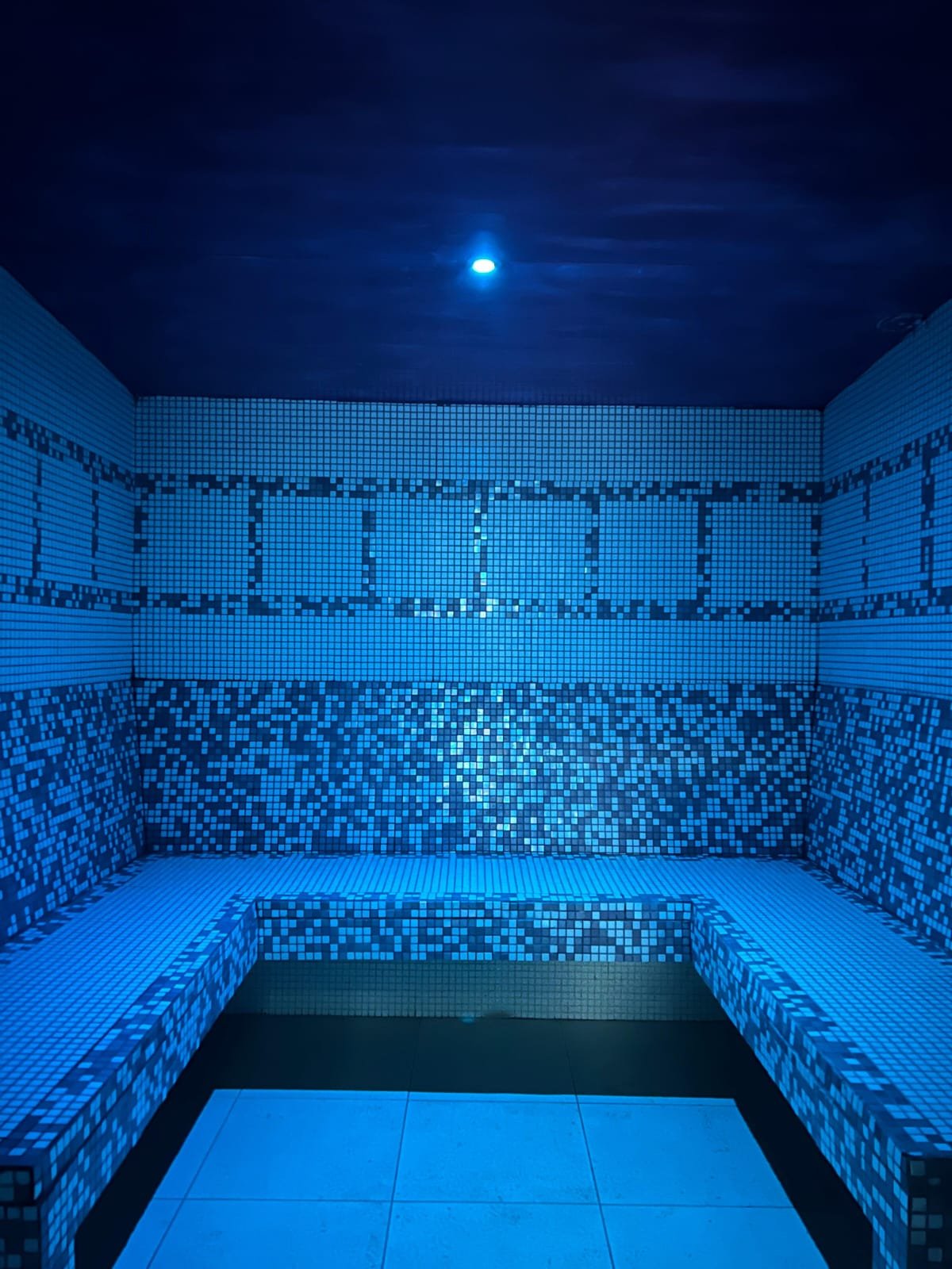 Chalet de montagne avec spa