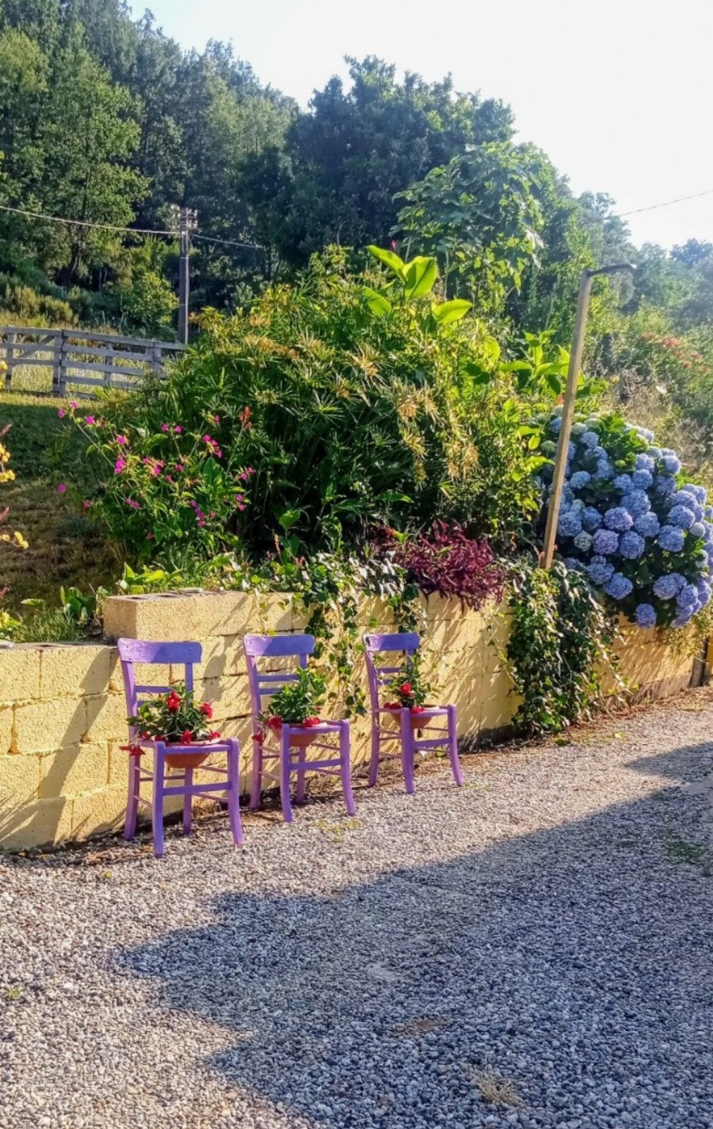 B&B Romy House