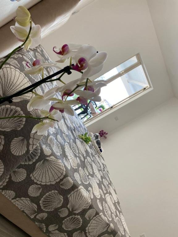 A casa di Manu JUNIOR SUITE