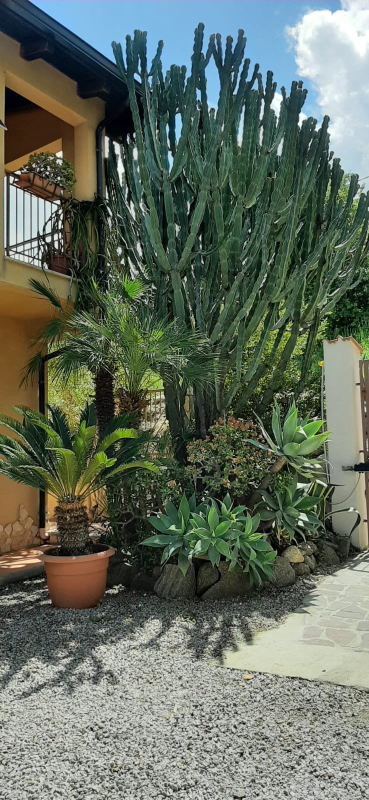 APPARTAMENTO CON GIARDINO PANORAMA MARE MOZZAFIATO