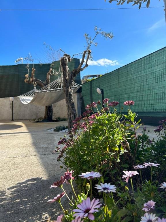 AGAS Exclusive Apartment